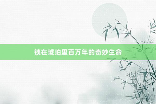 锁在琥珀里百万年的奇妙生命
