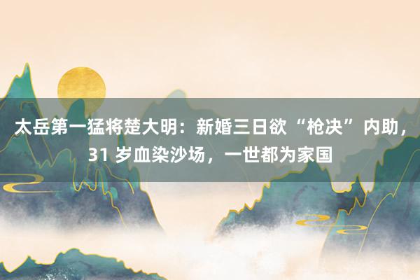太岳第一猛将楚大明：新婚三日欲 “枪决” 内助，31 岁血染沙场，一世都为家国