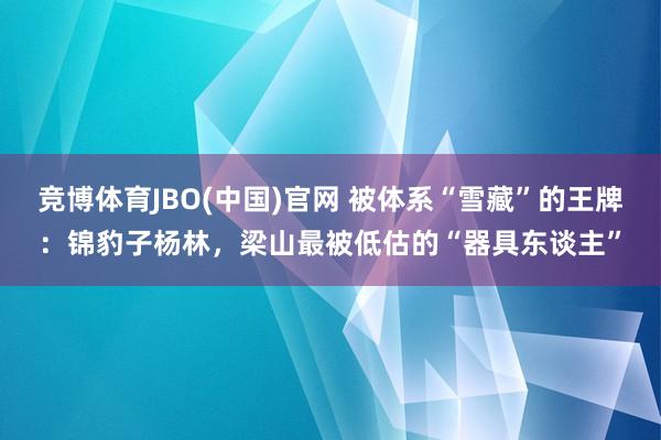 竞博体育JBO(中国)官网 被体系“雪藏”的王牌：锦豹子杨林，梁山最被低估的“器具东谈主”