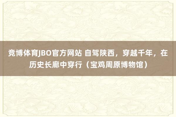 竞博体育JBO官方网站 自驾陕西，穿越千年，在历史长廊中穿行（宝鸡周原博物馆）