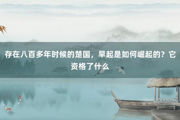 存在八百多年时候的楚国，早起是如何崛起的？它资格了什么