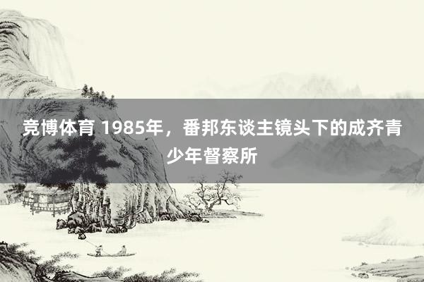 竞博体育 1985年，番邦东谈主镜头下的成齐青少年督察所