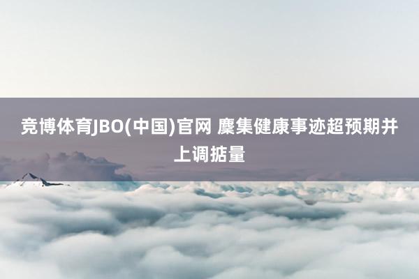 竞博体育JBO(中国)官网 麇集健康事迹超预期并上调掂量
