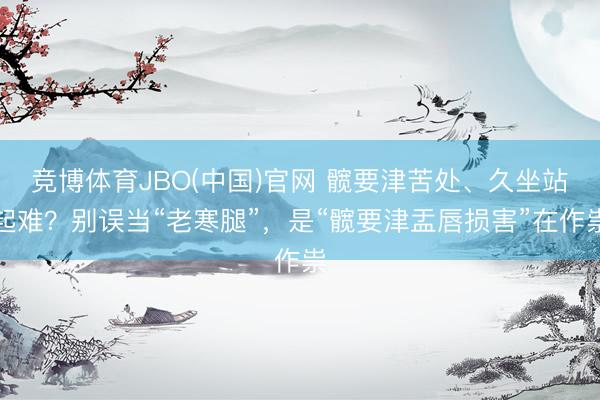 竞博体育JBO(中国)官网 髋要津苦处、久坐站起难？别误当“老寒腿”，是“髋要津盂唇损害”在作祟